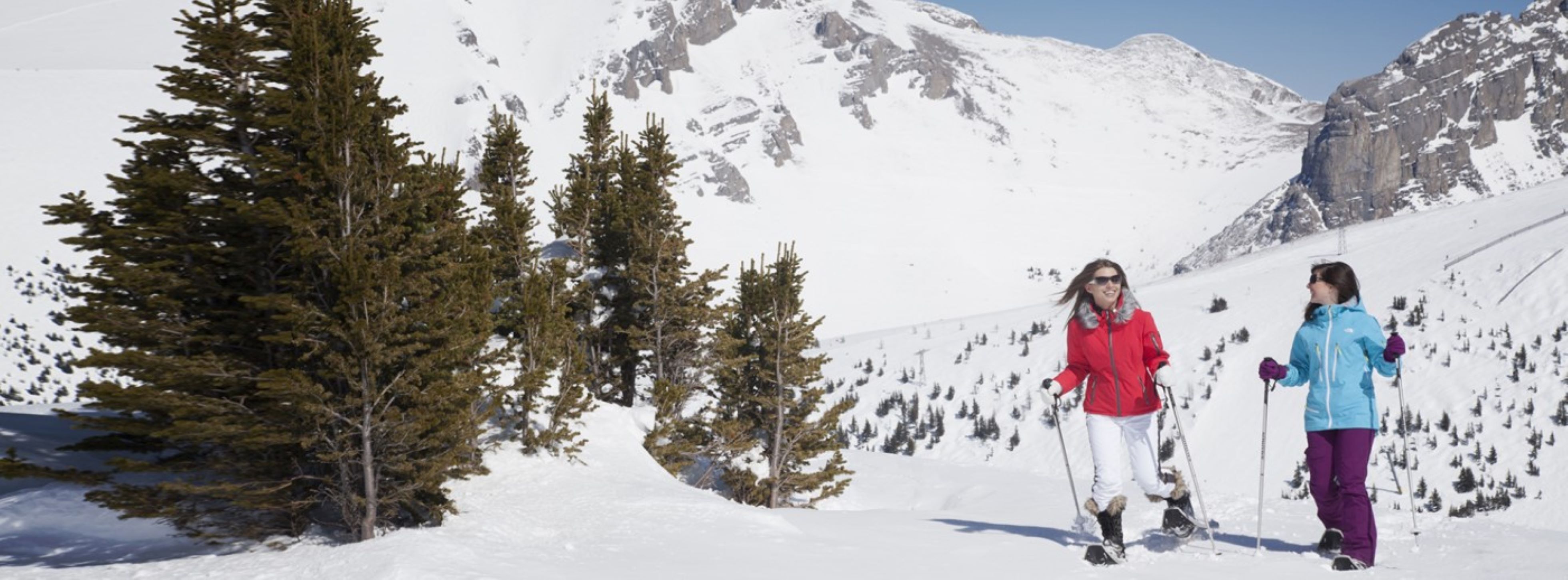 Banff Hiking, Heli, eBike, Snowshoeing & Icewalk Guided Tours